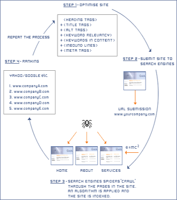 search engine optimization york
